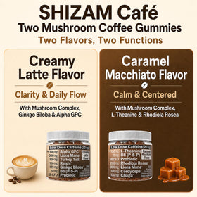 Gummies de café aux champignons SHIZAM sur une table