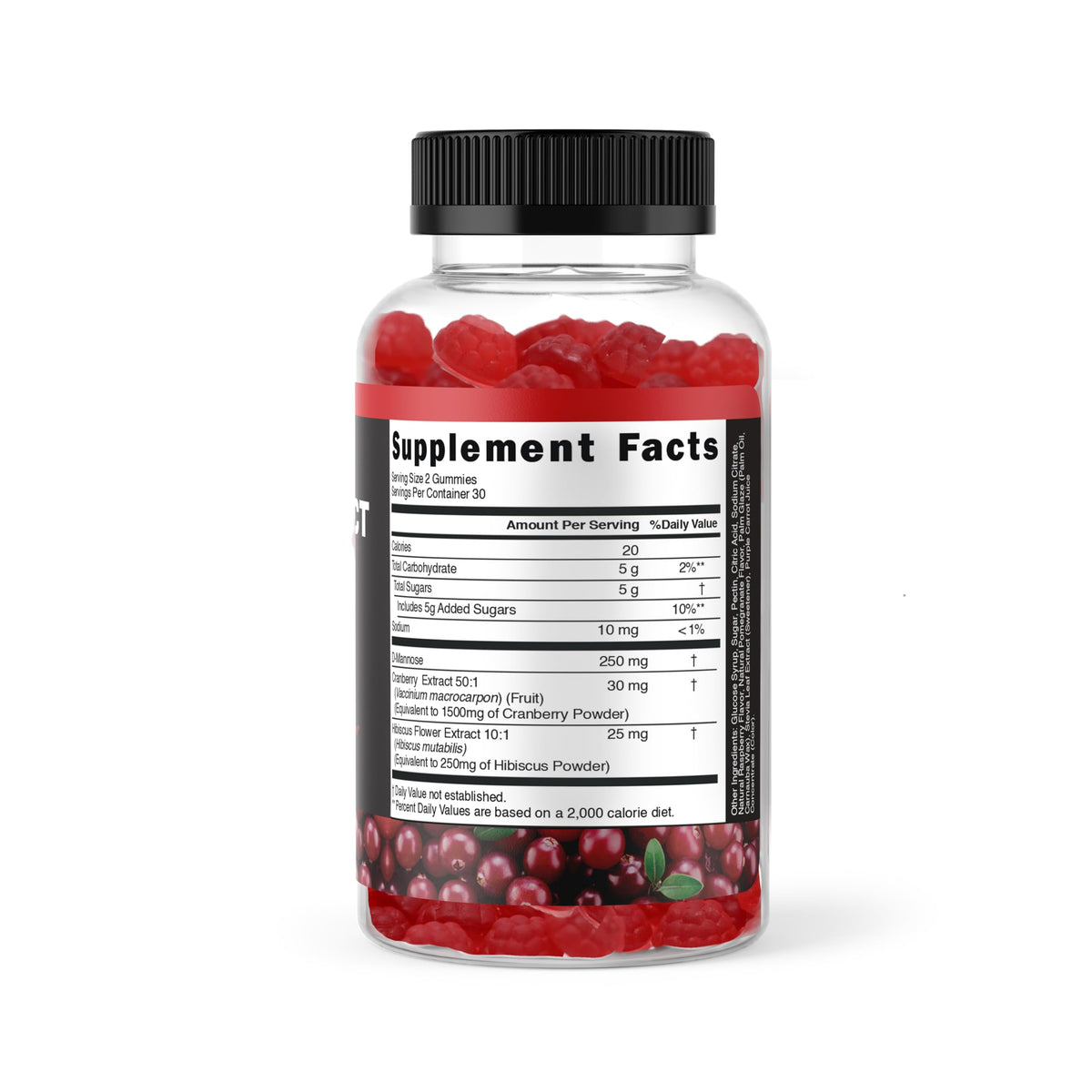 Gummies de canneberge dans une main, montrant leur taille