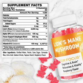 Gummies de champignon lion Marpvore vue arrière avec ingrédients