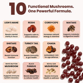 Gummies de champignons Clear Probiotics texture moelleuse
