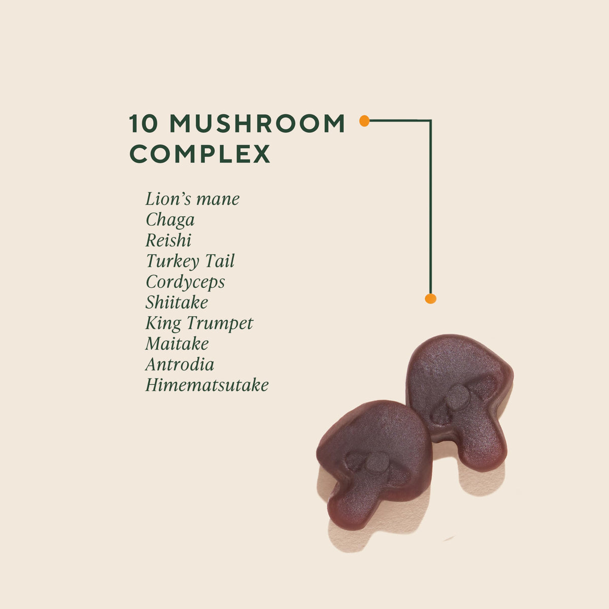 Gummies de Champignons OM MUSHROOM SUPERFOOD avec fruits mélangés