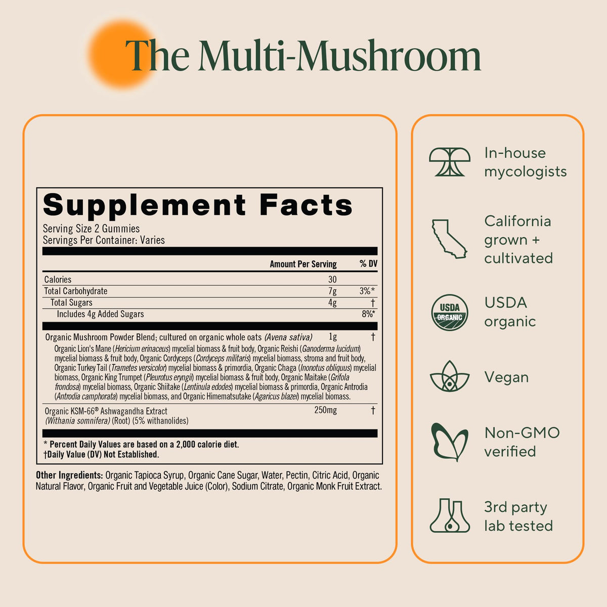 Gummies de Champignons OM MUSHROOM SUPERFOOD dans un bol