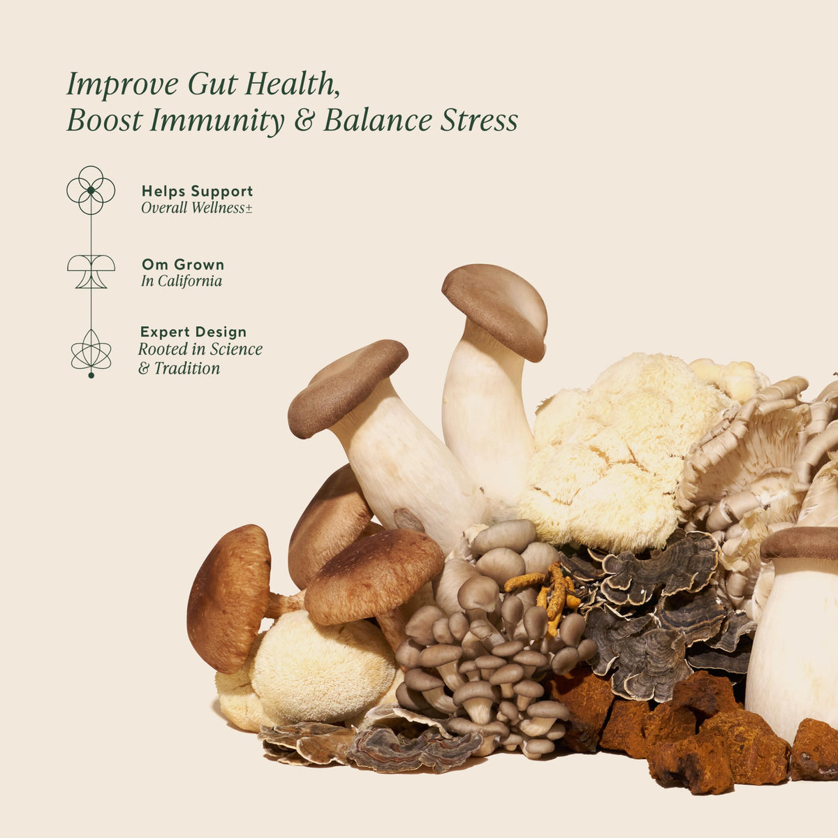 Gummies de Champignons OM MUSHROOM SUPERFOOD sur une table