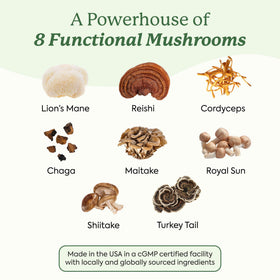 Gummies de champignons Plant People avec crinière de lion et cordyceps