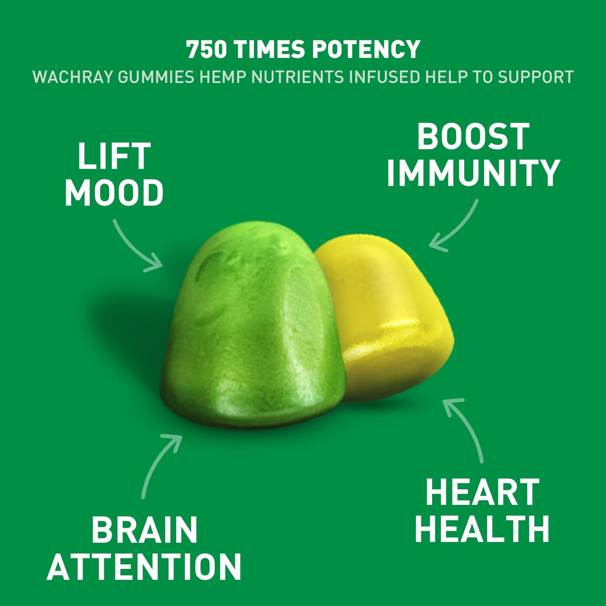 Gummies de chanvre bio WACHRAY Nutrition, paquet ouvert