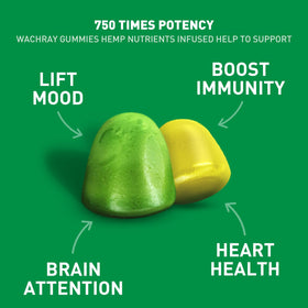 Gummies de chanvre bio WACHRAY Nutrition, paquet ouvert