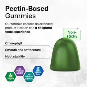 Gummies de chlorophylle BIO KRAUTER en vue de dessus