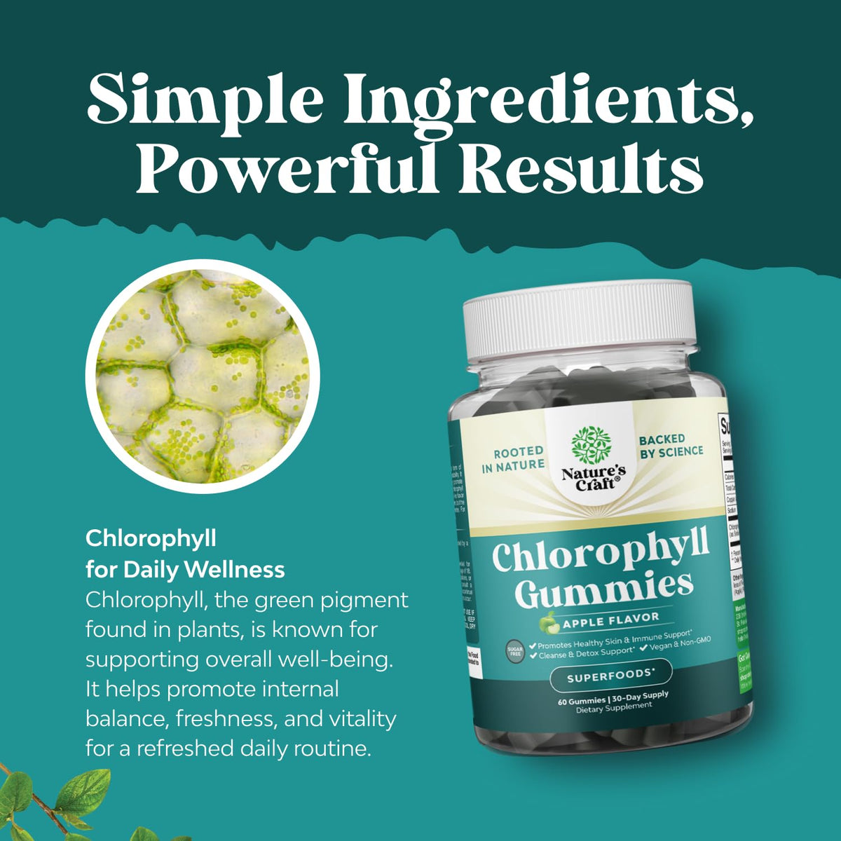 Gummies de chlorophylle Natures Craft, ingrédients listés