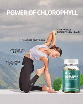 Gummies de chlorophylle ORGMO avec une cuillère