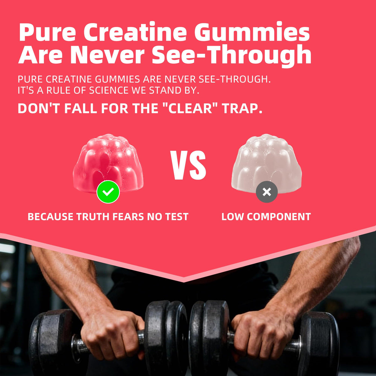 Gummies de créatine Allcoovita sur un fond blanc
