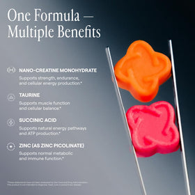 Gummies de créatine ARQ8 LONGEVITY avec fonds neutres