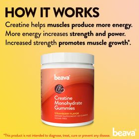 Gummies de créatine beava dans une main, aspect pratique