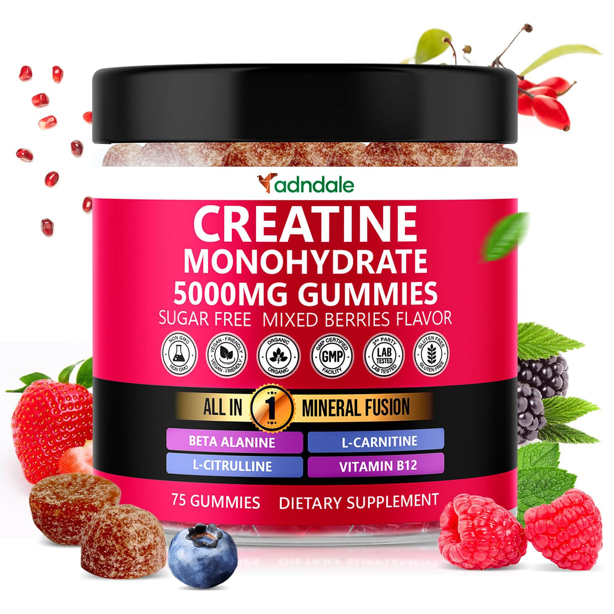 Gummies de créatine monohydrate Adndale 5000mg, emballage avant