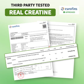 Gummies de créatine monohydrate LEAFORCE, format pratique