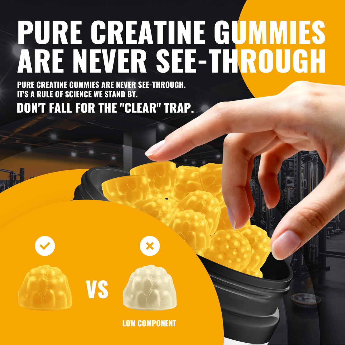 Gummies de créatine monohydrate Natures Aid, en main avec une vue d'ensemble