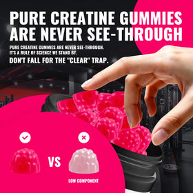 Gummies de Créatine Monohydrate Natures Aid, vue de dessus
