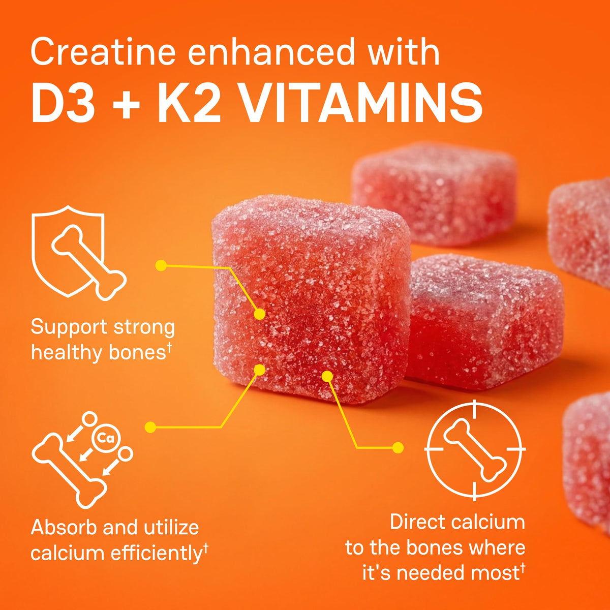 Gummies de Créatine Zena Nutrition vue de côté, montrant la texture