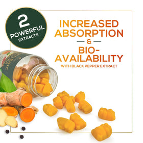Gummies de curcuma Nature's Nutrition, dosage recommandé sur l'emballage