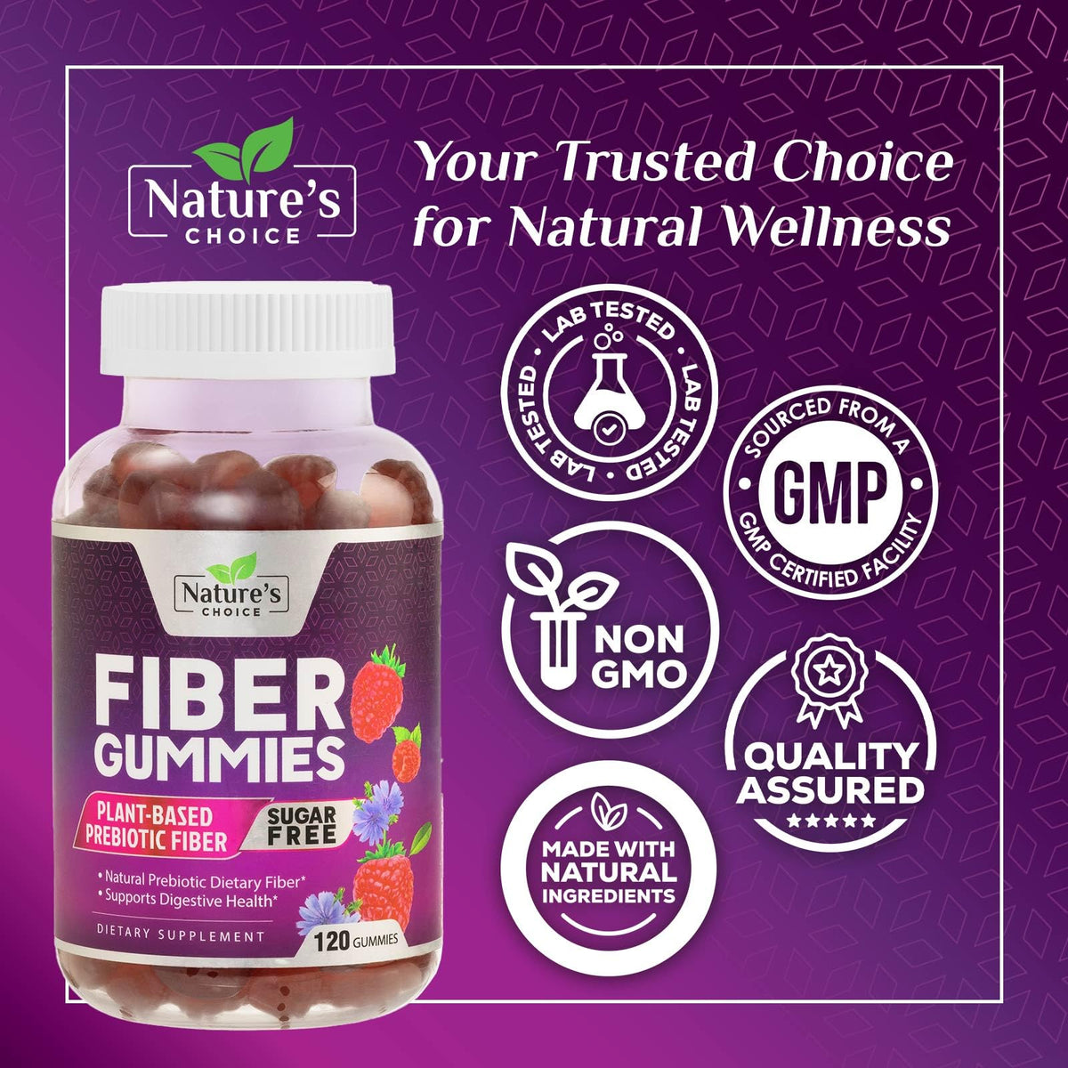 Gummies de Fibre Nature's Choice, ingrédients naturels