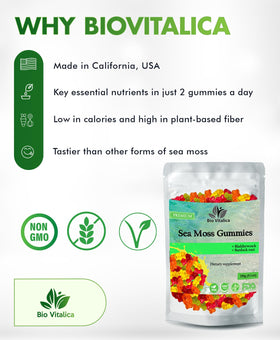 Gummies de Mousse de Mer BIO VITALICA ouvertes avec quelques gummies visibles