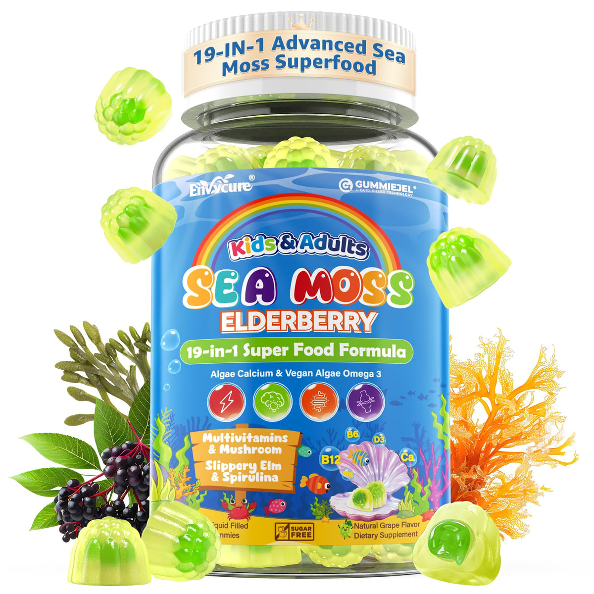 Gummies de Mousse de Mer EnvyCure 60 pièces avec emballage