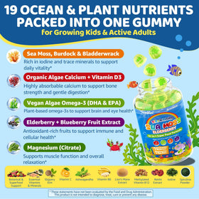 Gummies de Mousse de Mer EnvyCure dans une main d'enfant