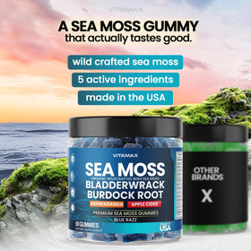 Gummies de mousse irlandaise Vitamax, pot sur une table en bois