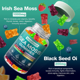 Gummies de Mousse Marine Bio letollhold vue de côté