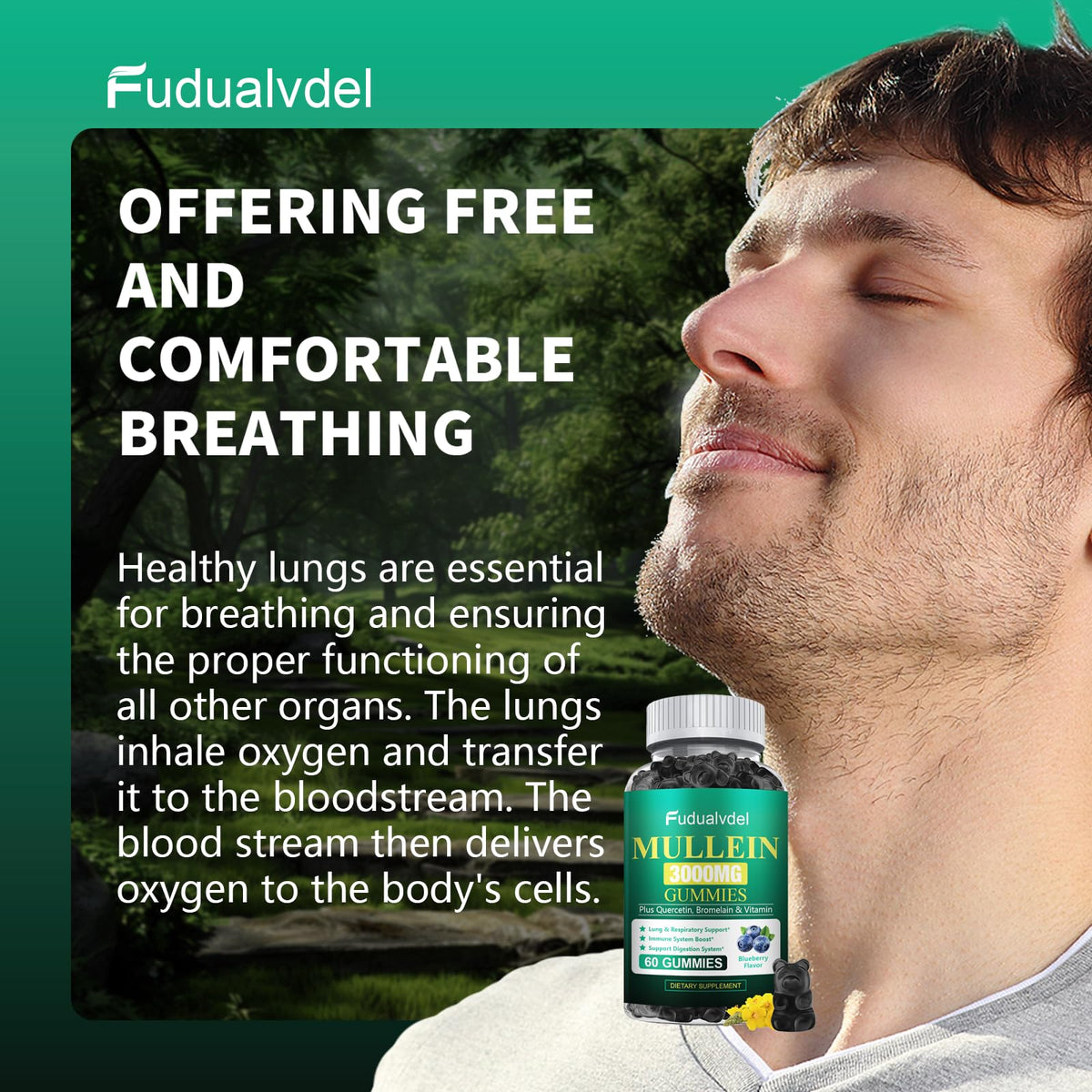 Gummies de Mullein Bio Fudualvdel, illustration des ingrédients