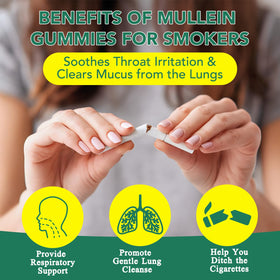 Gummies de Mullein MXCZBSM avec des ingrédients naturels