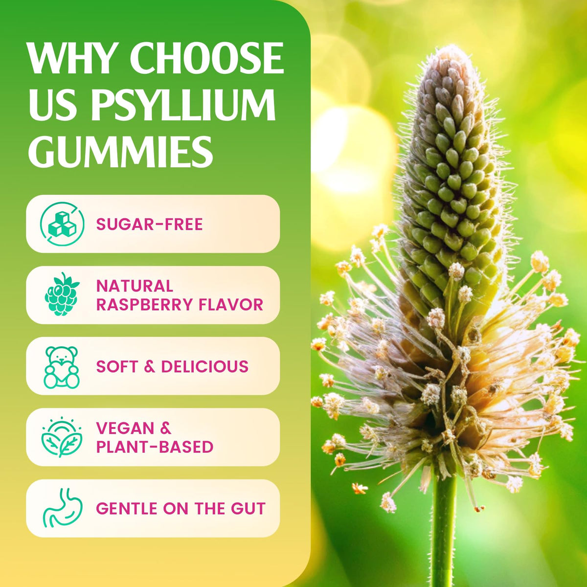 Gummies de psyllium GrnLife sur une table, avec un verre d'eau