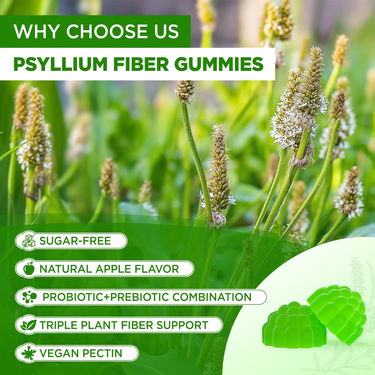 Gummies de psyllium NATISLAND dans une main
