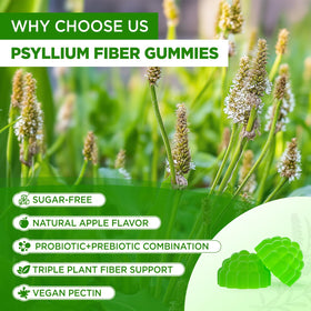 Gummies de psyllium NATISLAND dans une main