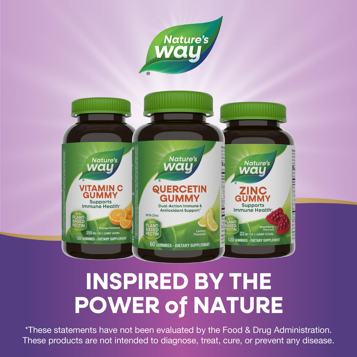 Gummies de Quercétine avec Zinc de Nature's Way, affichage des ingrédients