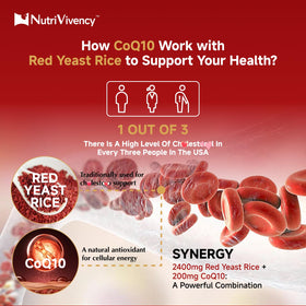Gummies de riz rouge NutriVivency, prise quotidienne