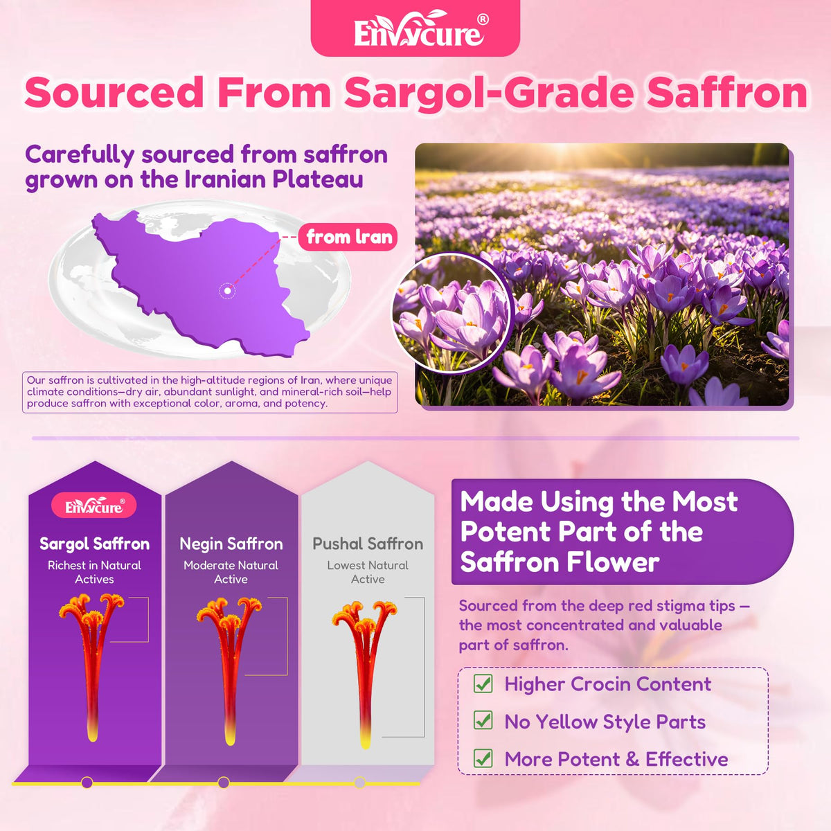 Gummies de Safran Liposomal 100mg dans une main