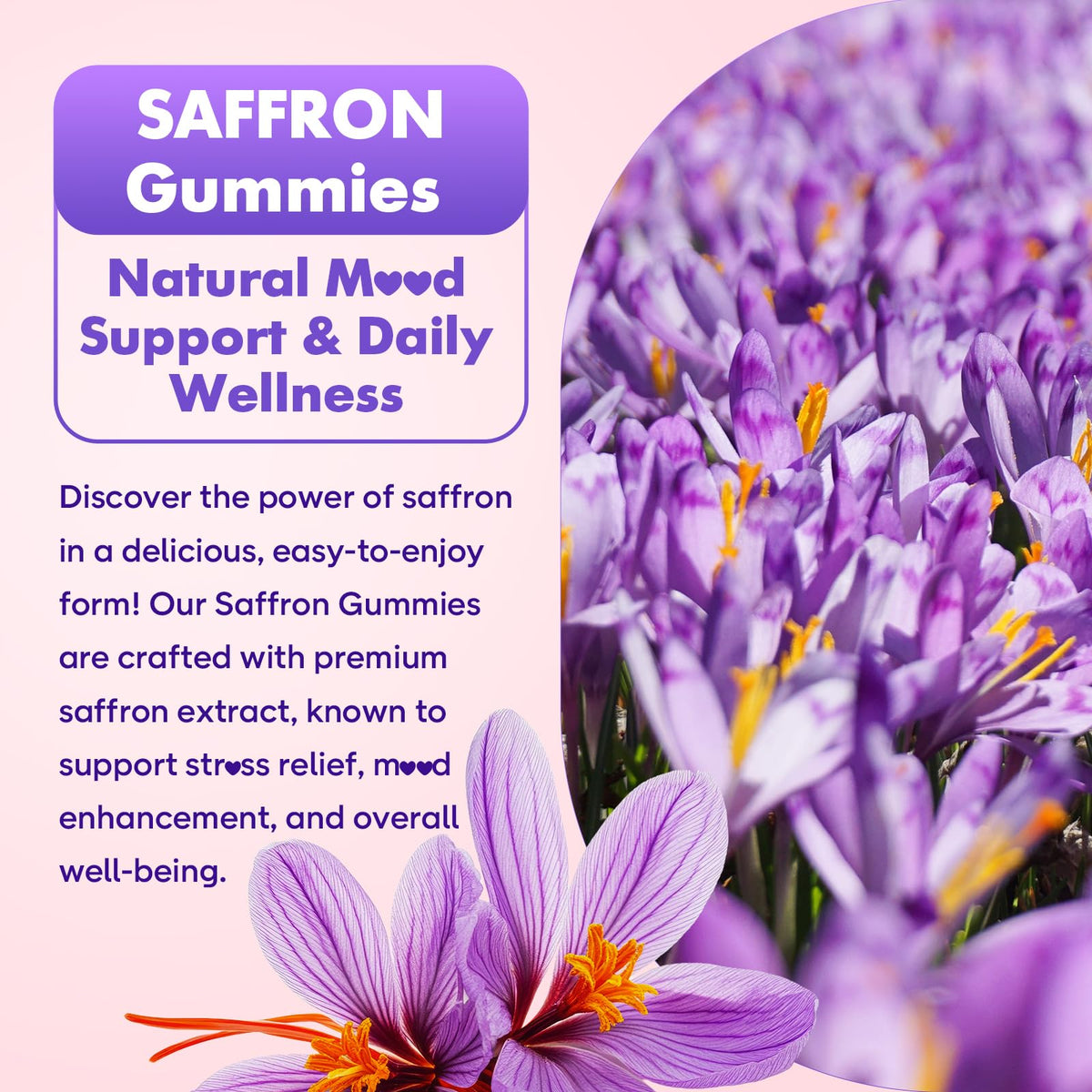 Gummies de Safran softbear avec informations nutritionnelles