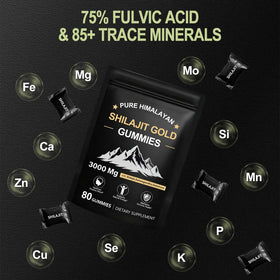 Gummies de Shilajit Tideon 80 Gummies avec des ingrédients naturels en arrière-plan