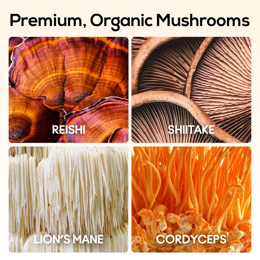 Gummies de sommeil TrueMushroom, présentation en gros plan
