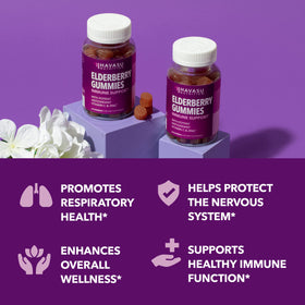 Gummies de Sureau HAVASU NUTRITION dans un bol, mise en scène avec des baies