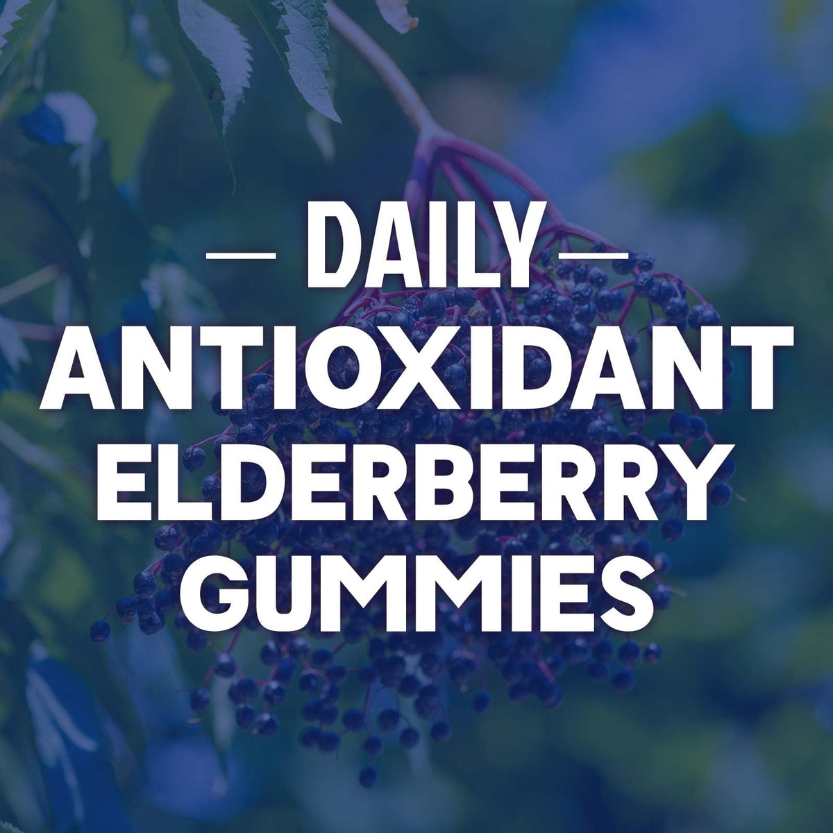 Gummies de Sureau Nature's Nutrition en gros plan