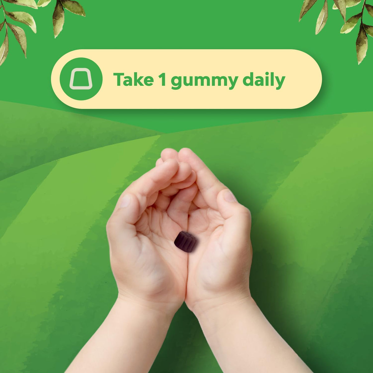 Gummies de Sureau Natures Craft, ingrédients sur l'étiquette