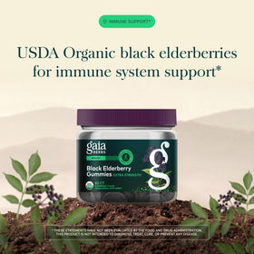 Gummies de Sureau Noir Gaia Herbs, détail des gummies