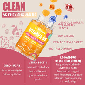 Gummies de Vitamine B2 Safgumjel 400mg avec une cuillère