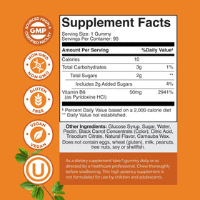 Gummies de vitamine B6 Natures Craft avec des fruits
