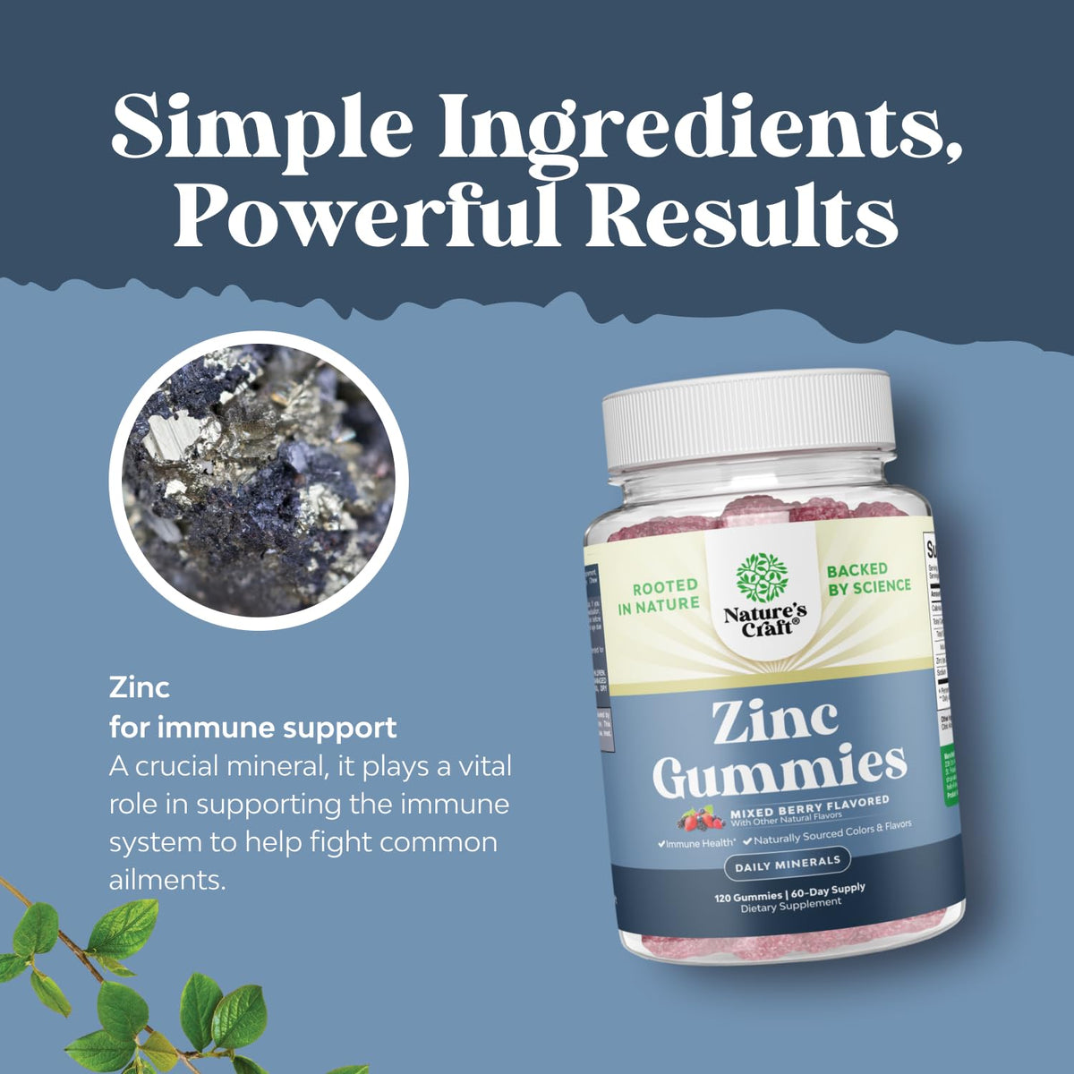 Gummies de Zinc Extra Fort Natures Craft - dosage recommandé