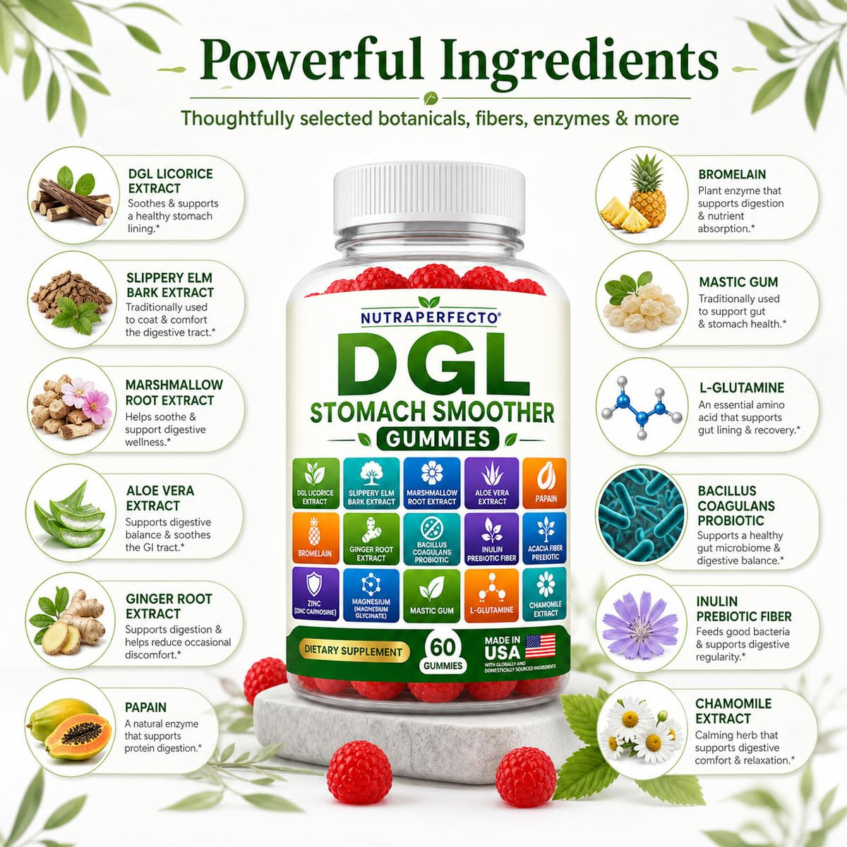 Gummies DGL Stomach Smoother NutraPerfecto avec ingrédients