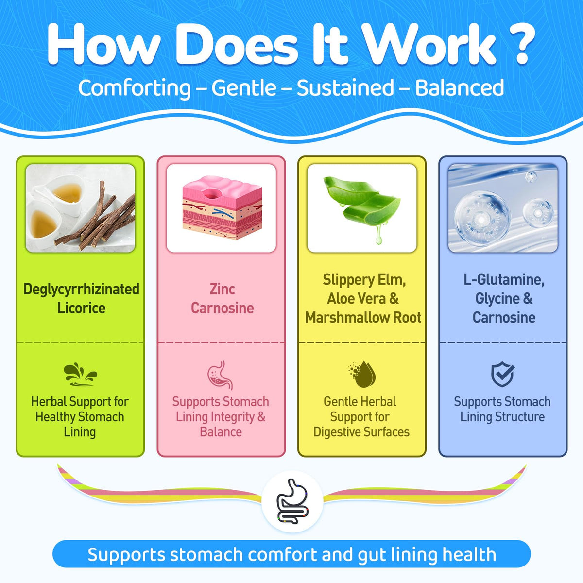Gummies DGL & Zinc Carnosine de NATISLAND, format pratique