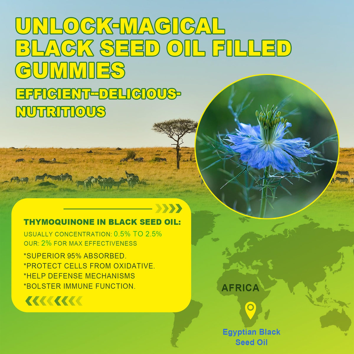 Gummies EnvyCure avec collagène hydrolysé et chlorophylle