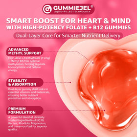 Gummies EnvyCure Methylfolate 15mg et B12 2000mcg, illustration de la technologie de libération